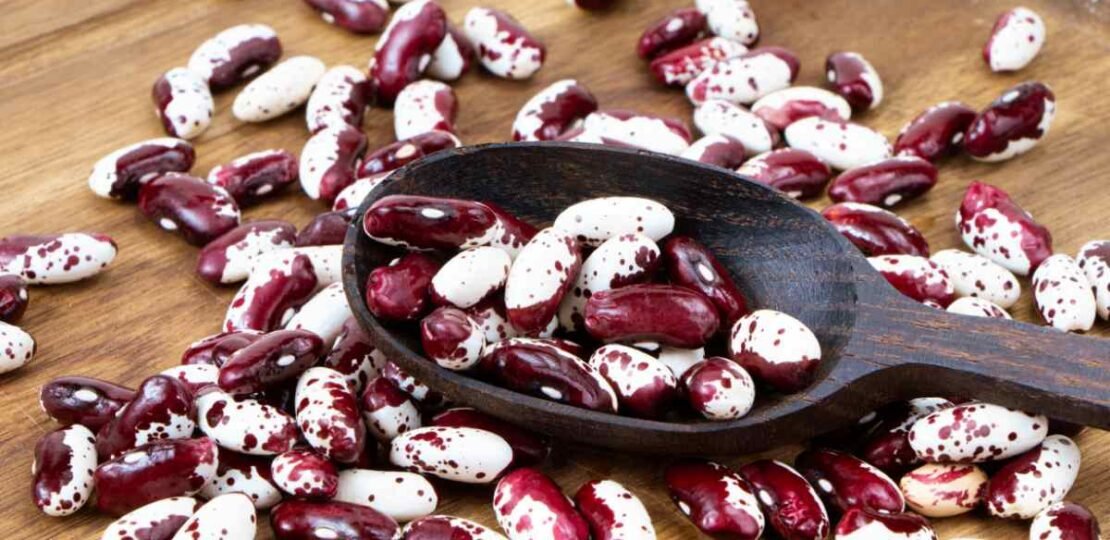 Anasazi-Beans-a-Nutritional-Guide-Nutrition-Advance.jpg