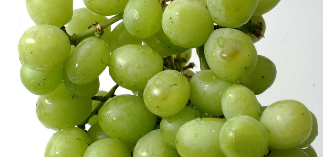 Carrots-Are-Not-the-Only-Good-Food-for-Your-Eyes-–-Eat-Grapes-If-Youre-Getting-Older.jpg