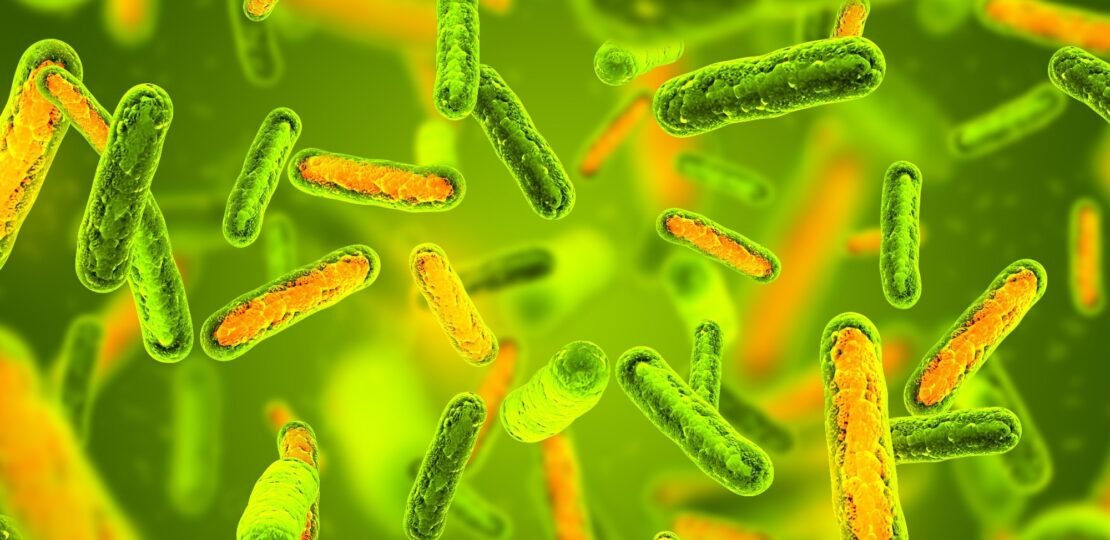 Gut-microbes-play-a-starring-role-in-insulin-resistance-opening-doors-for-new-diabetes-treatments.jpg