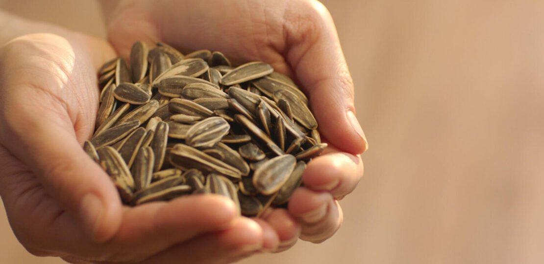 Pumpkin-Seeds-For-Erectile-Dysfunction-–-Do-They-Help.jpg